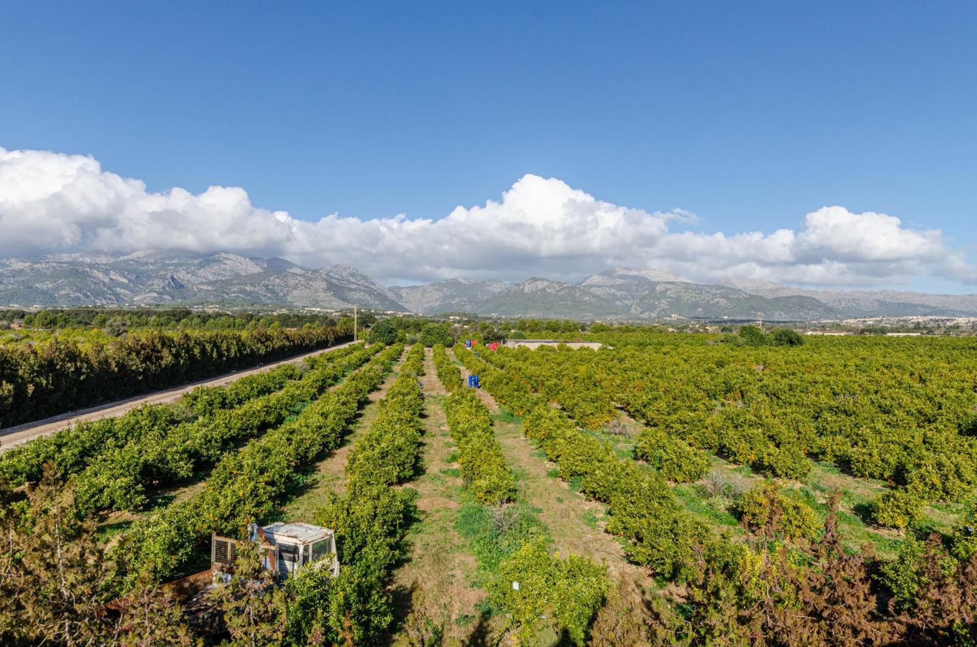 Appartement Agroturismo El Limonar 1, Yourhouse